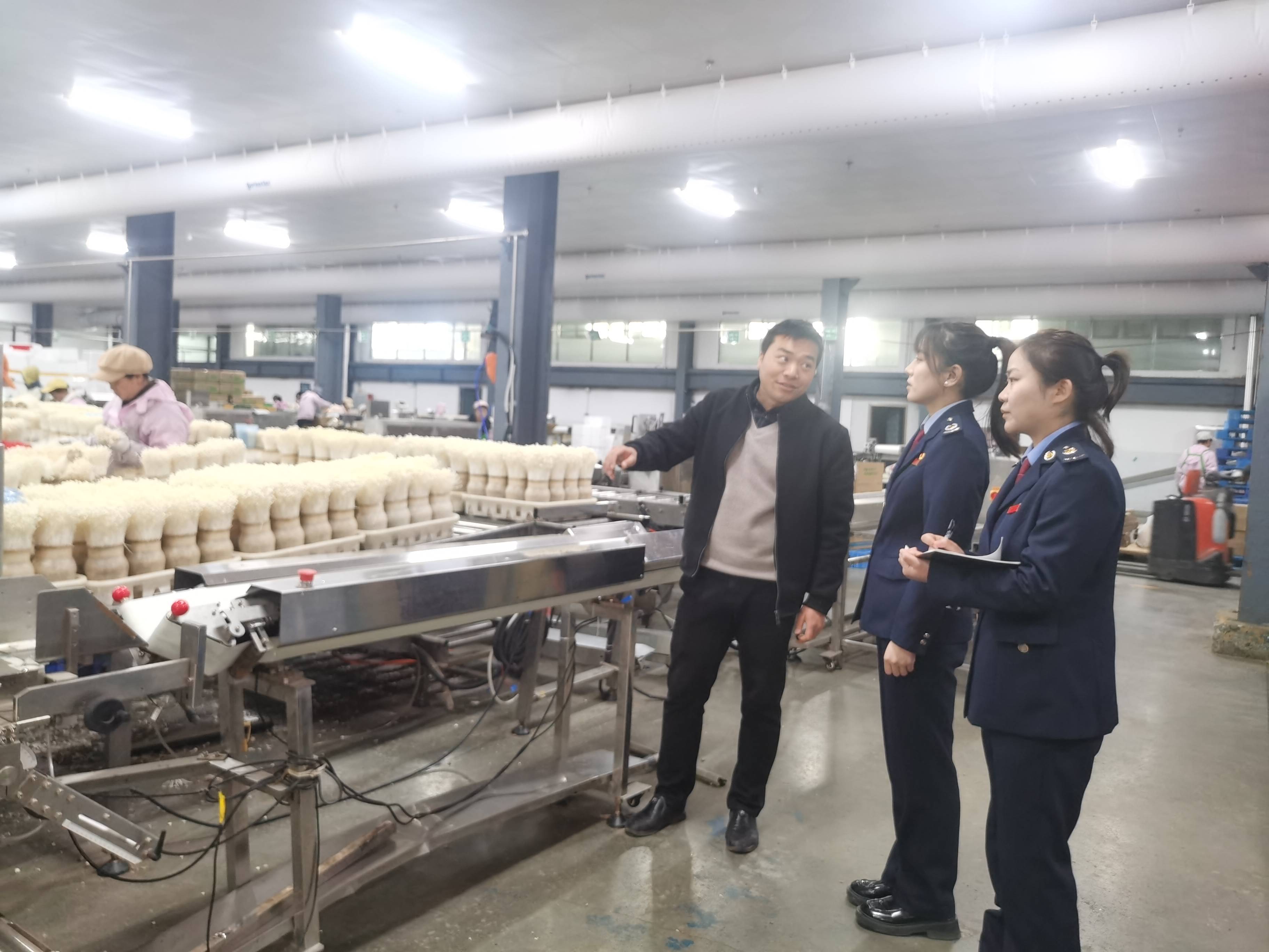 甘肃环县：电商助力农特产品走出去