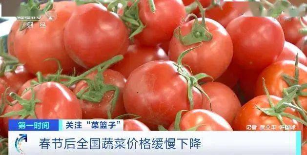 4月份菜价季节性下降 主产区蔬菜上市正当时