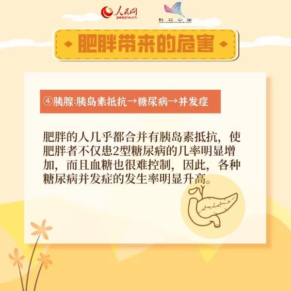 5月11日是世界防治肥胖日 肥胖是多种疾病诱因 科学减重很重要