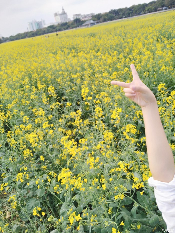 杭州：初夏，这阳光不燥，这微风正好