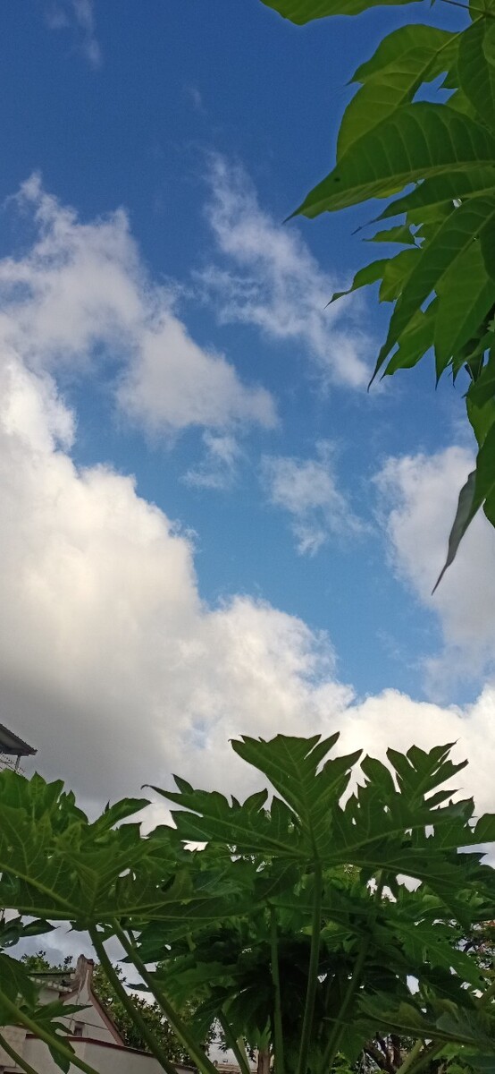 杭州：初夏，这阳光不燥，这微风正好