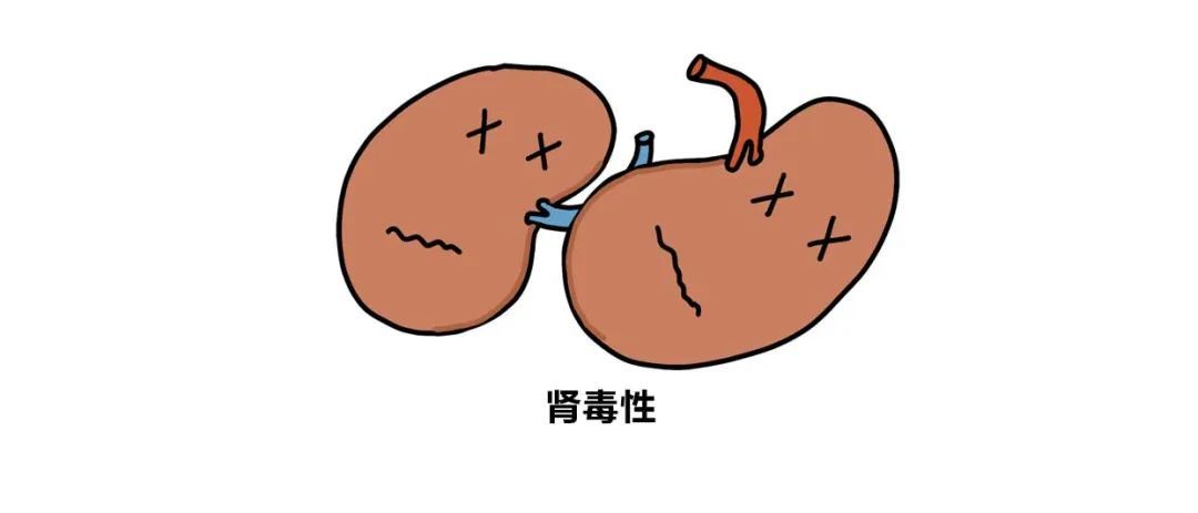 关于抗肿瘤药物的这些传言可信吗