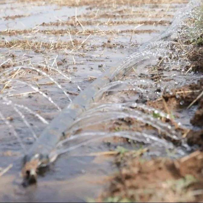 科技助力河南高标准农田抗旱保丰收