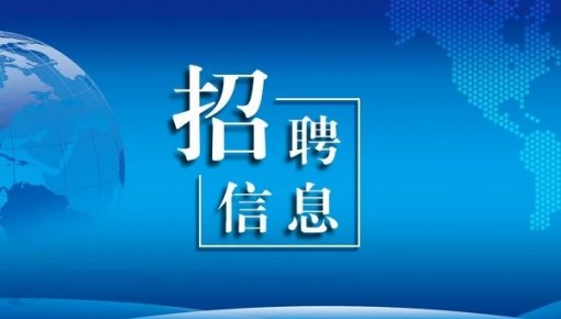 百日千万招聘专项行动推出4个专场