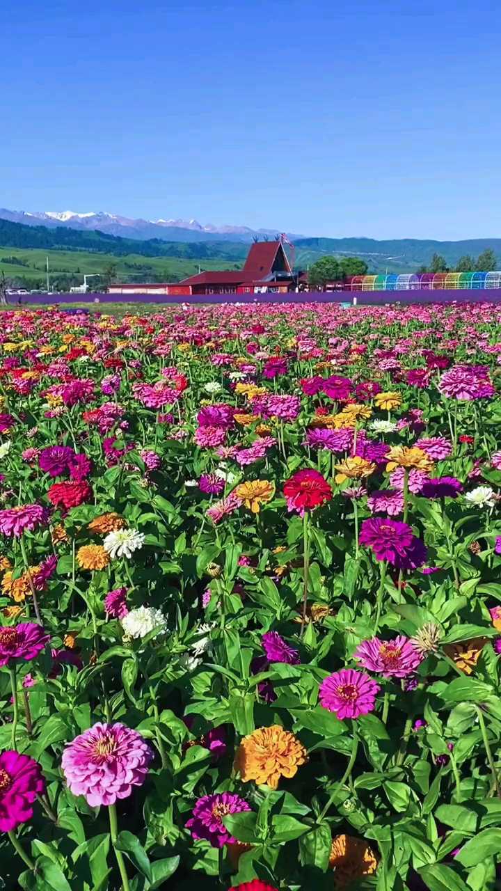 新疆首家携程公益农庄落地那拉提