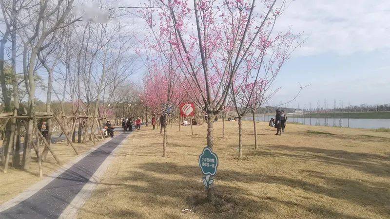 打造生态绿廊 探索“乐水兴城”