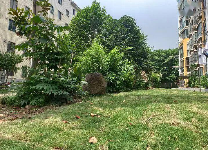 留白增绿,拆违建绿,见缝插绿 住建部要求因地制宜建设口袋公园