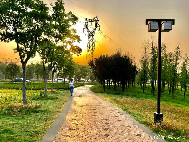 夏日“俏”游乡村