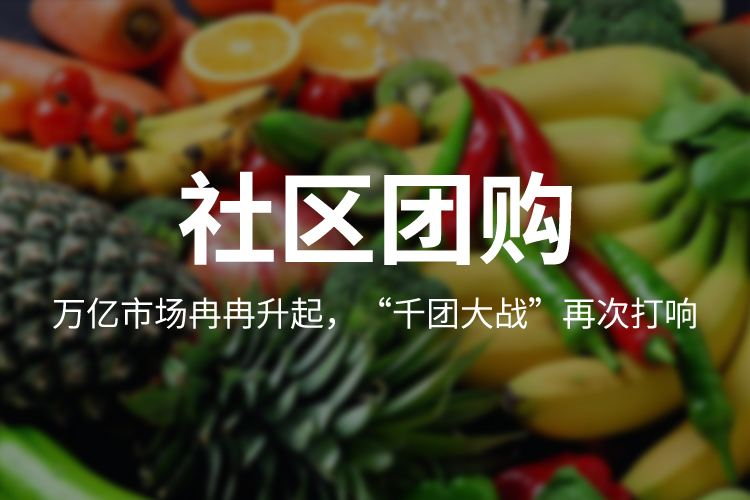 外卖团购为何热衷低价