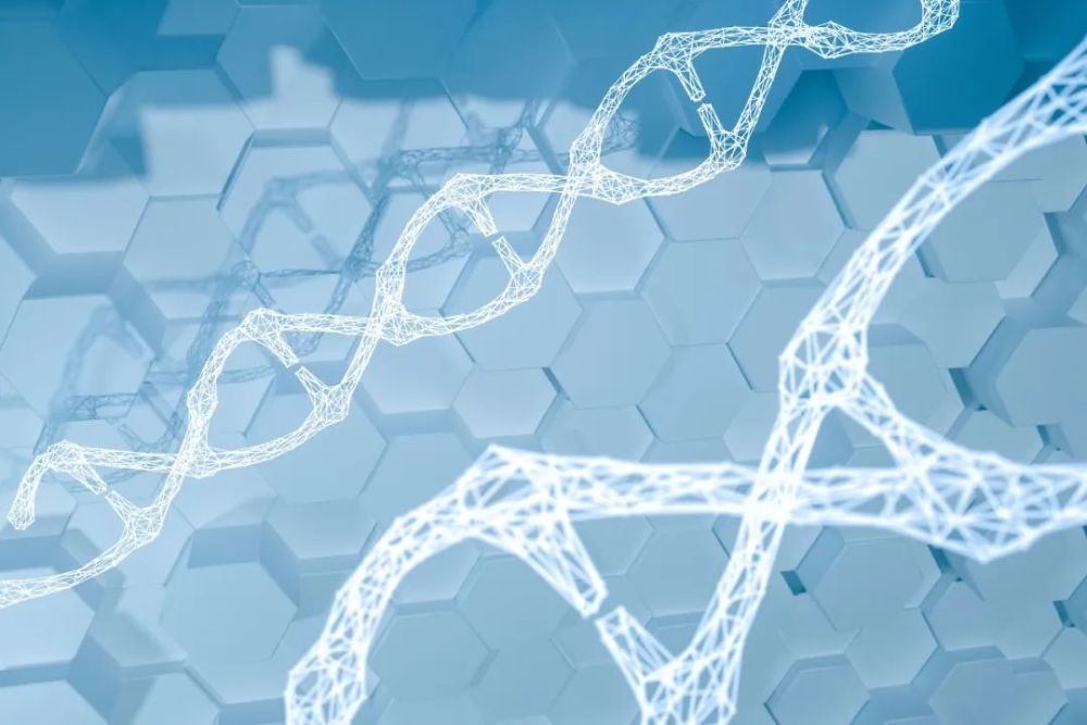 CRO概念大涨,美《生物安全法案》立法存变数?华大基因这样回应