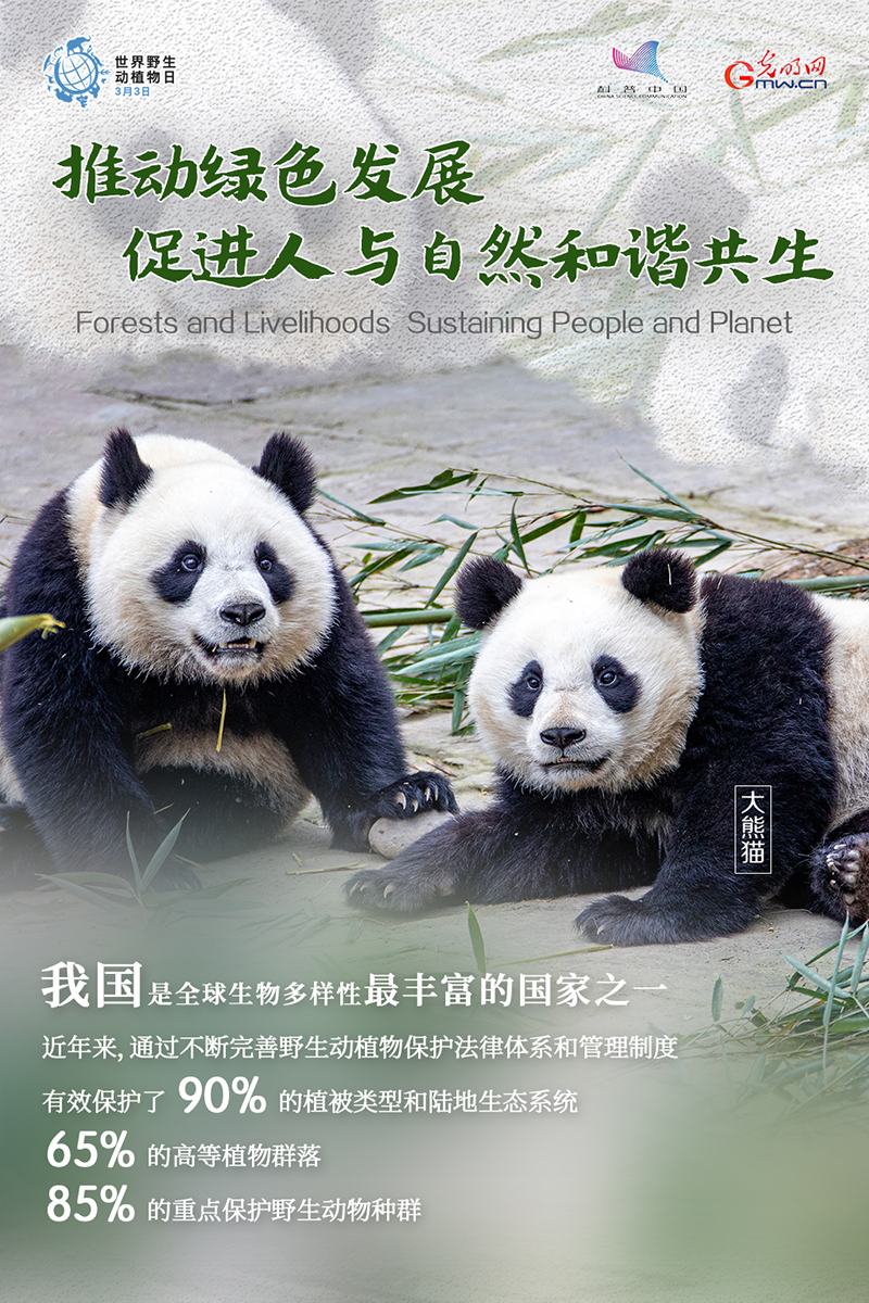 栖息环境不断优化 我国珍贵、濒危野生动物种群稳定增长