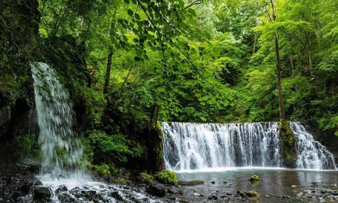 去黑龙江畅享清凉夏日