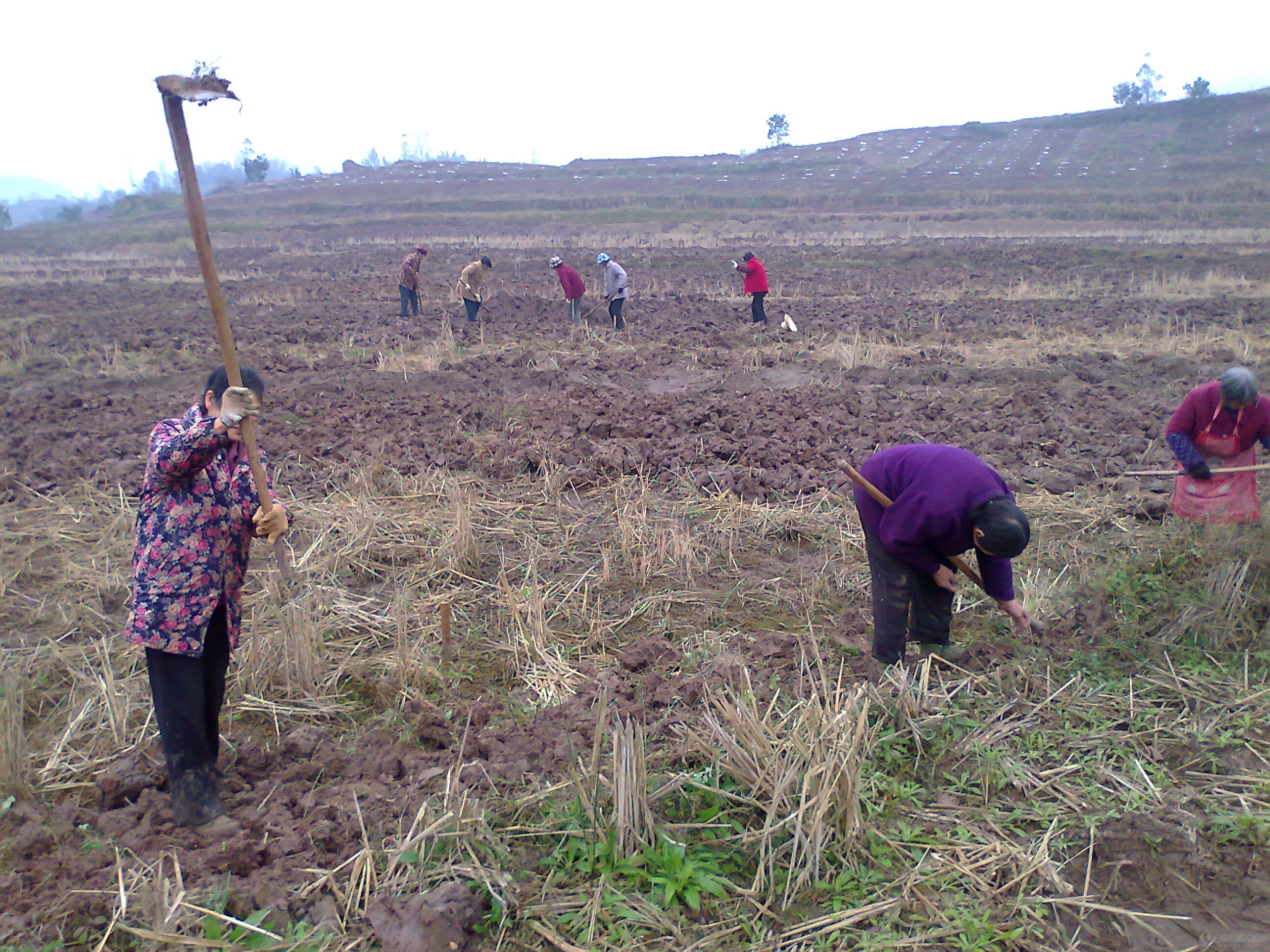 2024年上半年全国自然灾害情况发布