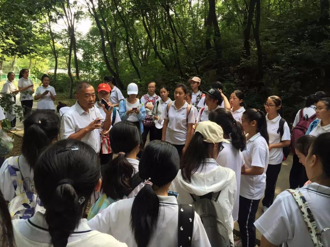 研学游成暑期市场主力军 各地精心打造学校之外的“大课堂”