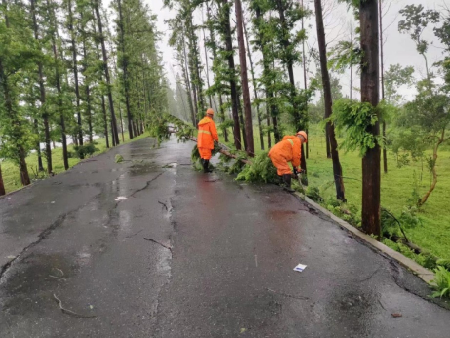 鲁豫多地暴雨 各地全力应对