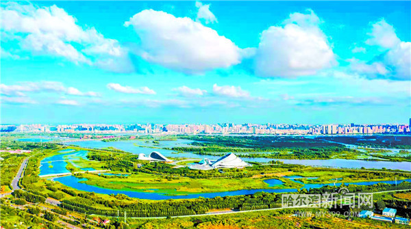 哈尔滨大力推进湿地保护 湿地旅游热度升温