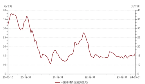 800增强ETF（159517）盘中溢价，兆驰股份涨超9%，机构：市场旺季交易情绪将逐步提升丨ETF观察