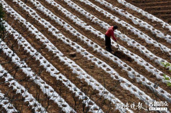 布局“春播”行情正当时，摩根90天持有期债券型基金正在发行中