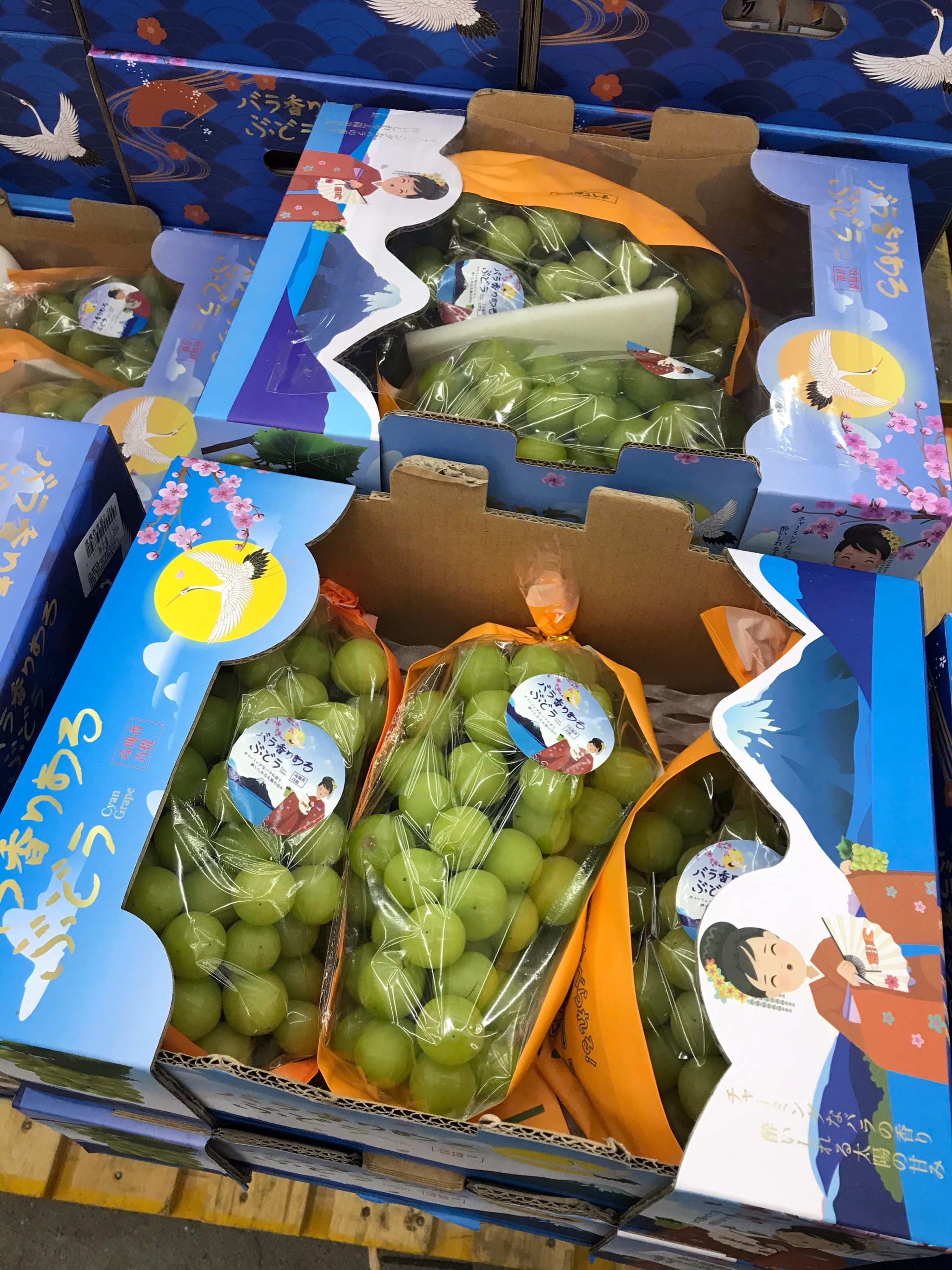 抢疯了!连续5日爆买百亿