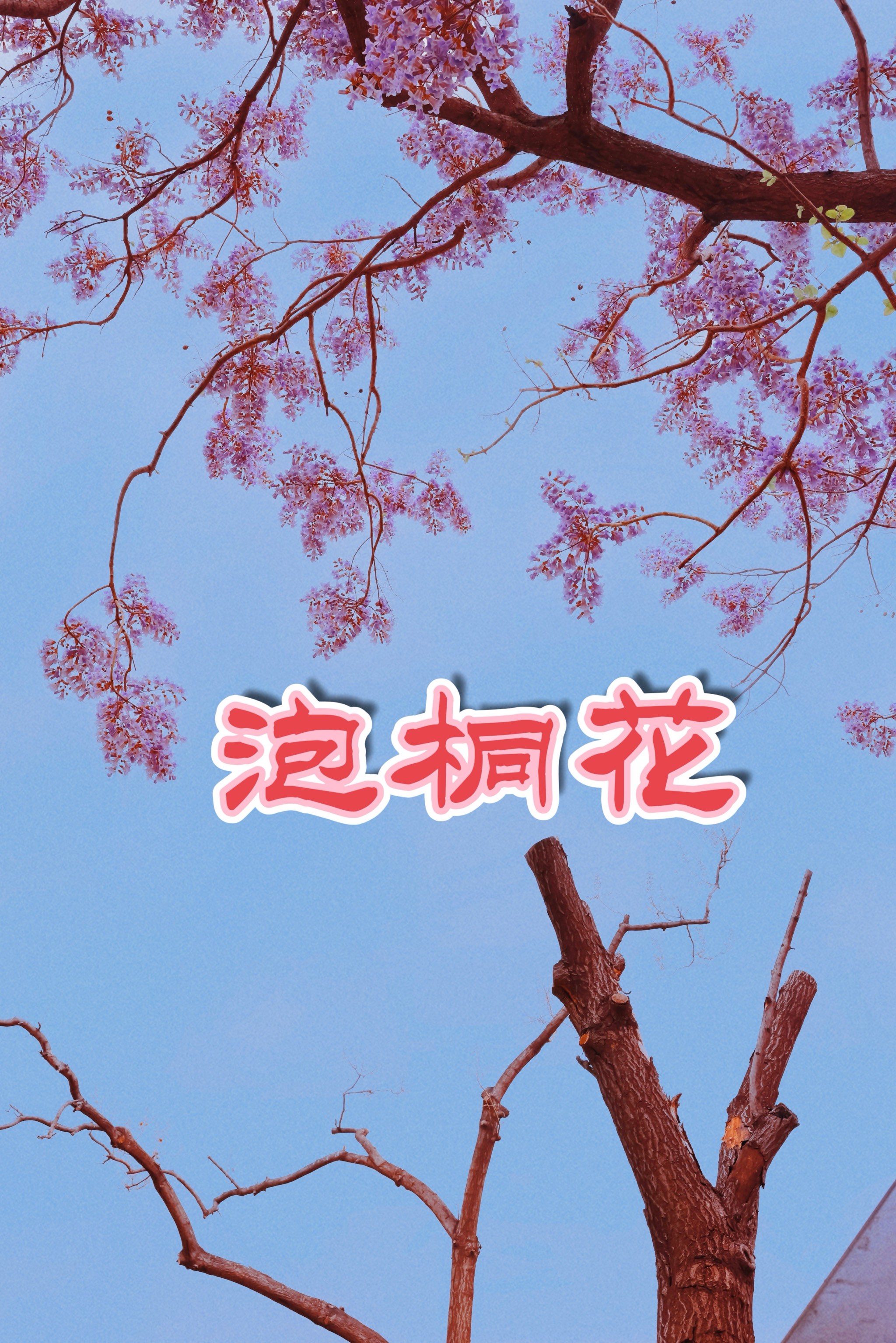 这里，总有一抹春天为您守候