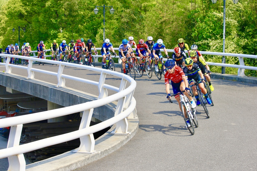 巨头狂飙40%！资金重回逆天赛道