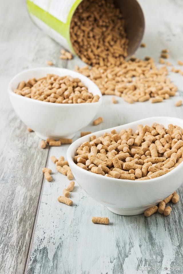 猪周期回暖预期升温,农业ETF华夏(516810)盘中涨超1%,天邦食品涨停